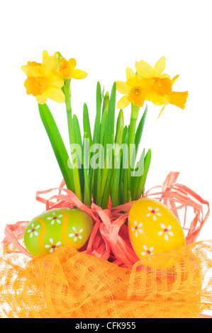 Ostereier und Frühling gelbe Narzisse (Narzisse) im Blumentopf mit hellen Dekoration isoliert auf weißem Hintergrund Stockfoto