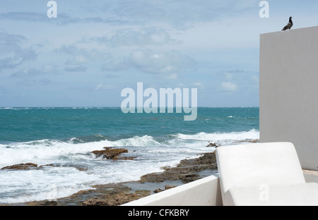 Eine Taube sitzt an der Ecke einer weiß gestrichenen Wand an einem sonnigen Tag neben Wellen an das Ufer des blauen Meeres. Stockfoto