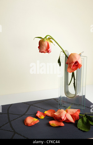 Welken Rosen in Glasvase Stockfoto