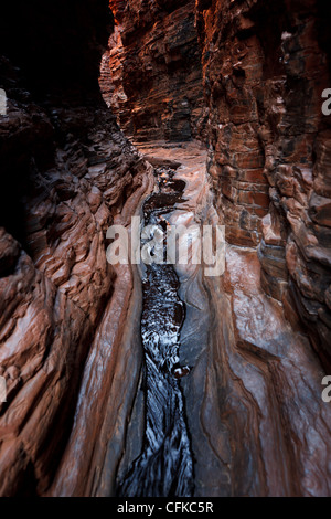 Karijini-Nationalpark Hancock Gorge, Western Australia Stockfoto