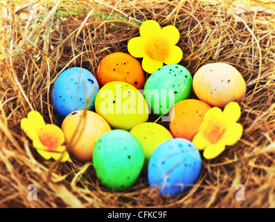 Bunte Ostereier mit Trockenrasen im Nest, festliche traditionelle Nahrung für christliche Frühlingsferien, farbenfrohe Stillleben Stockfoto