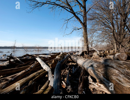 Totholz liegt an den Ufern des Flusses Ohio, USA Stockfoto