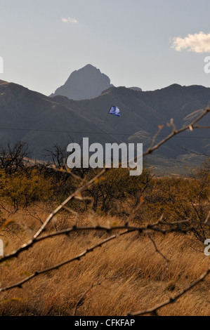 Eine Wasserstation durch Humane Grenzen liefert Wasser für papierlose Überquerung der Sonoran Wüste, Arizona, USA. Stockfoto