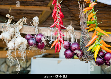 Knoblauch, Zwiebeln und Paprika Coloful auf einem Holzdach Stockfoto