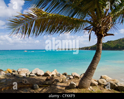 Mönchs Bay auf St. Martin und St. Maarten in der Karibik Stockfoto