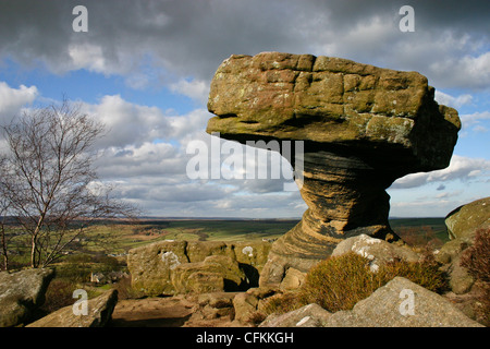 Der Druide Schreibtisch, Brimham Rocks in North Yorkshire Stockfoto