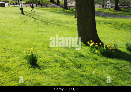 Sonniger Frühlingstag in den Princes Street Gardens, Edinburgh. Stockfoto