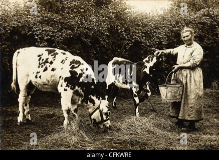 Alte Frau paar Kühe füttern Stockfoto
