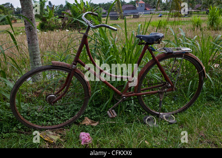 Ubud, Bali, Südasien, Indonesien Stockfoto