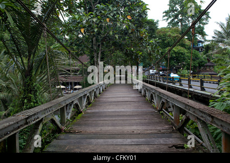 Koloniale Brücke in Ubud, Bali, Südasien, Indonesien Stockfoto