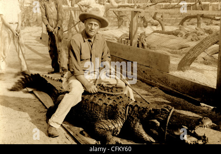 Mann rittlings auf eine zurückhaltende Alligator Stockfoto