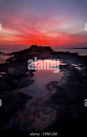 Sonnenuntergang an der versteinerte Wald von Cavomalias (Kap Malea), in der Nähe von Korakas Dorf, Vatika, Lakonia, Peloponnes, Griechenland. Stockfoto