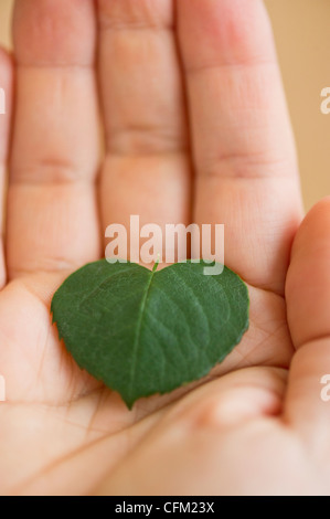 Nahaufnahme eines Mannes Hand hält grünes Blatt in Form von Herzen, Studio gedreht Stockfoto