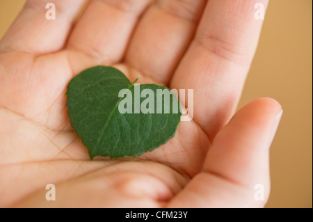 Nahaufnahme eines Mannes Hand hält grünes Blatt in Form von Herzen, Studio gedreht Stockfoto