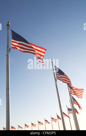 USA, Washington DC, niedrigen Winkel Blick auf amerikanische Flaggen Stockfoto