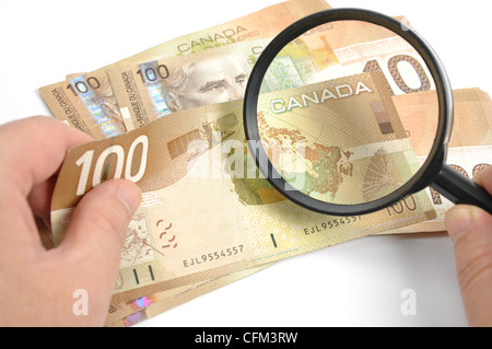 Lupen mit kanadischer Dollar Stockfoto