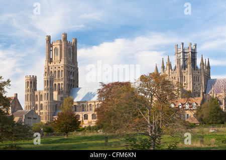 Ely Cathedral, Ely, England Stockfoto