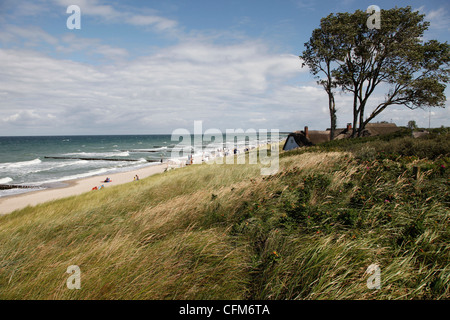 Ahrenhoop, Ostsee, Darvu-Fischland, Mecklenburg-Western Pomerania, Deutschland, Europa Stockfoto