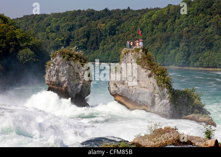 Rheinfall, Schaffhausen, Schweiz, Europa Stockfoto
