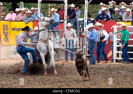 Calgary Stampede, Stampede Park, Calgary, Alberta, Kanada, Nordamerika Stockfoto