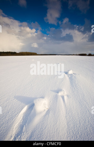 Eine Schneelandschaft Norfolk Stockfoto