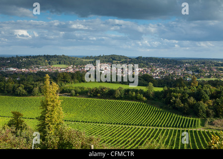 Ansicht von Dorking über Denbies Weinberg, Surrey Hills, Surrey, England, Vereinigtes Königreich, Europa Stockfoto