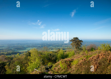 Leith Hill, Surrey, England, Vereinigtes Königreich, Europa Stockfoto