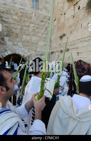 Sukkot Festlichkeiten mit Lulaw, Klagemauer, Altstadt, Jerusalem, Israel, Nahost Stockfoto