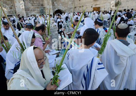 Sukkot Festlichkeiten mit Lulaw, Klagemauer, Altstadt, Jerusalem, Israel, Nahost Stockfoto