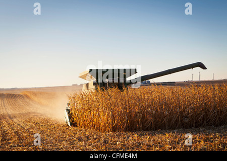 USA, Iowa, Latimer, Mähdrescher, die Maisernte Stockfoto