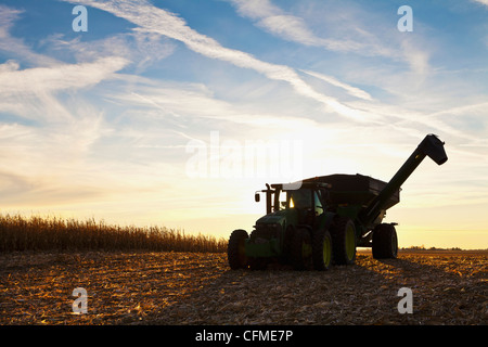 USA, Iowa, Latimer, Mähdrescher, die Maisernte Stockfoto