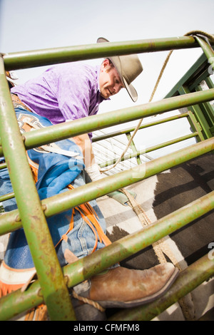 USA, Utah, Highland, junger Cowboy Rodeo vorbereiten Stockfoto