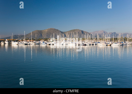 Blick über den Hafen Port d'Alcudia, Mallorca, Balearen, Spanien, Mittelmeer, Europa Stockfoto