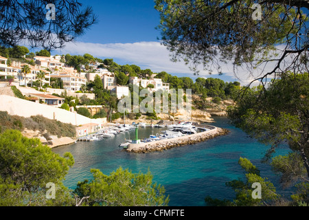 Blick vom Hügel auf den Hafen von Portals Vells in der Nähe von Magaluf, Mallorca, Balearen, Spanien, Mittelmeer, Europa Stockfoto