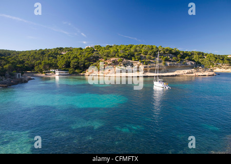 Blick über das türkisfarbene Wasser des Cala Portals Vells in der Nähe von Magaluf, Mallorca, Balearen, Spanien, Mittelmeer, Europa Stockfoto