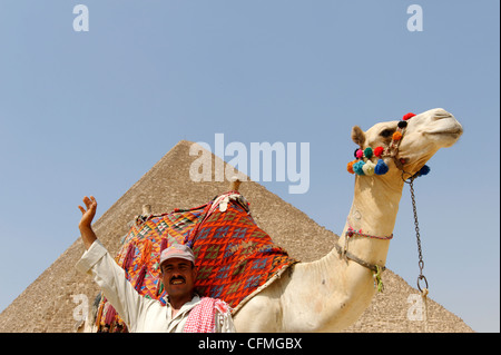 Gizeh. Kairo. Ägypten. Blick auf Kamel und seinen Fahrer vor der großen Pyramide von Khufu (Cheops) von Gizeh, der ältesten Stockfoto