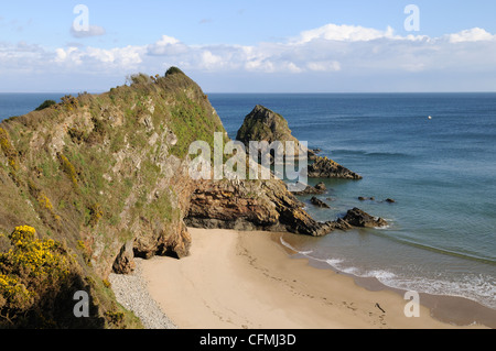 Monkstone Punkt von Pembrokeshire Coast National Park Küstenweg zwischen Tenby und Saundersfoot Wales Cymru UK GB Stockfoto