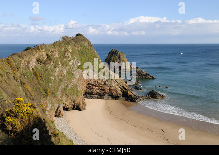 Monkstone Punkt von Pembrokeshire Coast National Park Küstenweg zwischen Tenby und Saundersfoot Wales Cymru UK GB Stockfoto