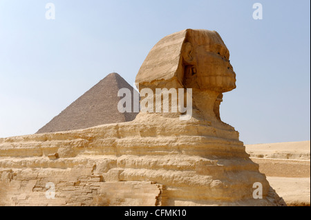 Gizeh. Kairo. Ägypten. Blick auf die 24 Meter, die hohe große Sphinx aus einzelnen Felsen geschnitten, die Wache bei der Annäherung an die Gizeh steht Stockfoto