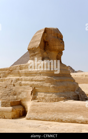Gizeh. Kairo. Ägypten. Blick auf die 24 Meter, die hohe große Sphinx aus einzelnen Felsen geschnitten, die Wache bei der Annäherung an die Gizeh steht Stockfoto