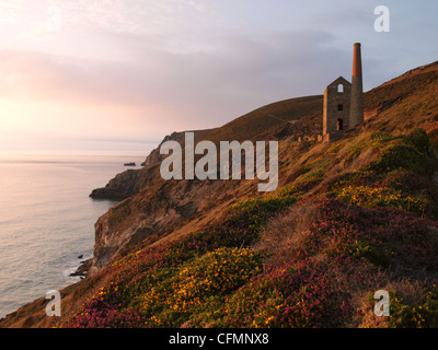 Wheal Coates Zinnmine, St. Agnes, Cornwall, UK Stockfoto