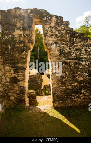 Ein Maya-Bogen an die Maya-Stätte von Caracol in Belize Stockfoto