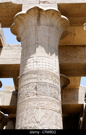 Kom Ombo. Ägypten. Afrika. Beispiel für die feinen Details, die auf alle Spalten im Tempel von Kom Ombo gefunden. Stockfoto