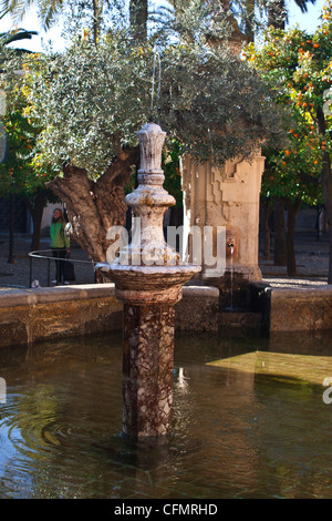 Große Moschee von Córdoba, Cordova, Mesquita, Mezquita Stockfoto