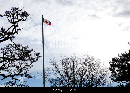 Die kanadische Flagge im Wind am Anfang Beacon Hill in Beacon Hill Park, Victorian, Kanada. Stockfoto