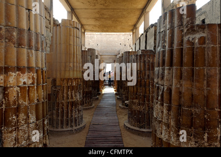 Sakkara. Ägypten. Blick auf die zwei Reihen von 20 gerippte Spalten über sechs Meter hoch in der Galerie Eingang Sakkara Djoser Stockfoto