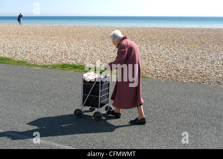 Vereinigtes Königreich West Sussex Worthing eine ältere Dame schob ihren Einkaufswagen Stockfoto