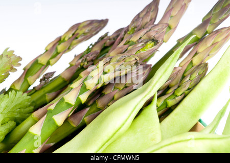 Frisch gepflückten Bohnen, bereit Spargel und Petersilie zum Kochen.  Alle grünen Gemüse, isoliert auf weiss. Stockfoto