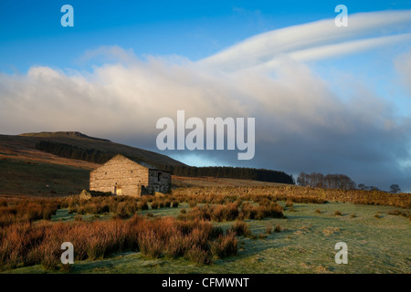 Burtersett, Wensleydale Scheune im Morgengrauen, in der Nähe von Yorburgh und Hawes, Nationalpark North Yorkshire Dales, Richmondshire, UK Stockfoto