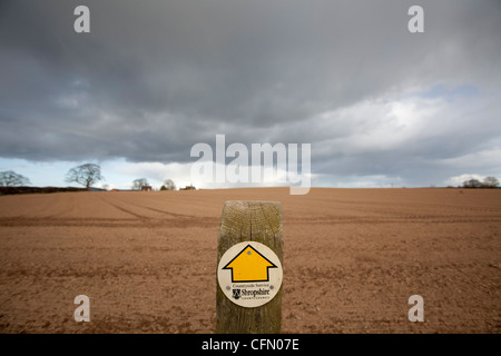 Sturm Wolken über einem Zeichen suchen einen öffentlichen Fußweg durch einen Acker im ländlichen Shropshire, England. Stockfoto